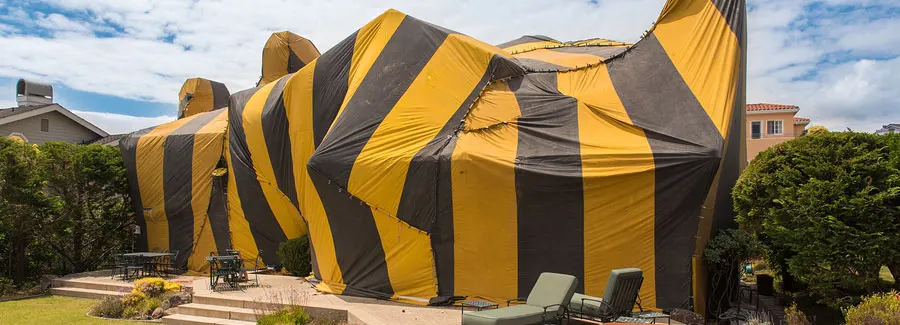 New York, Household, Termite Spraying Near Huntington Park