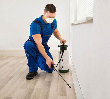 New York, Household, Termite Spraying Near Huntington Park