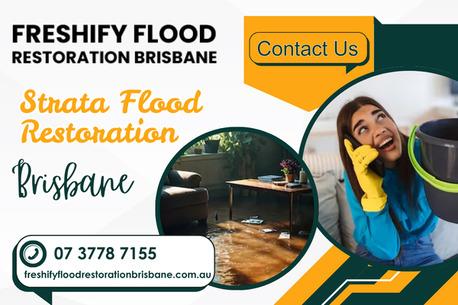 Brisbane, Business, Strata Flood Restoration Brisbane