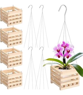 New York, Farm & Garden, USD 13,  Vanda Basket: The Perfect Choice For Healthy Orchid Growth