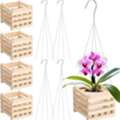 USD 13,  Vanda Basket: The Perfect Choice For Healthy Orchid Growth