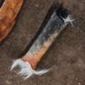 USD 8, Buy Long-Lasting Natural Bones For Dogs – Ugly Chews