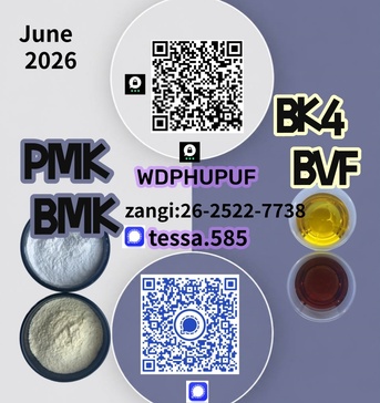 Hong Kong, Businesses For Sale, Trusted Choice   5449-12-7  BMK Glycidic Acid Sodium   28578-16-7 PMK Ethyl Glycidate