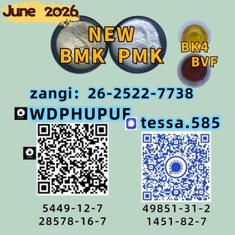 Hong Kong, Wholesale Products, Manufacturer Fast Delivery    5449-12-7  BMK Glycidic Acid Sodium   28578-16-7 PMK Ethyl G