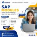 SAP Training Programs For Future IT Leaders At Visualpath