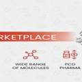 Best PCD Pharma Franchise In Baddi &ndash; Explore With PharmaHopers