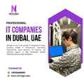 Professional IT Companies In Dubai For Reliable IT Services