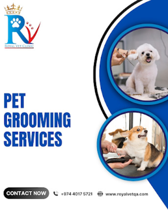 Doha, Business, Top Veterinary Deworming Services In Doha