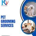 Top Veterinary Deworming Services In Doha