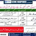 Shuttering Carpenter, Electrician And Plumber