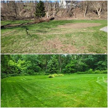 New York, Cleaning, Professional House & Driveway Pressure Washing In Irmo SC