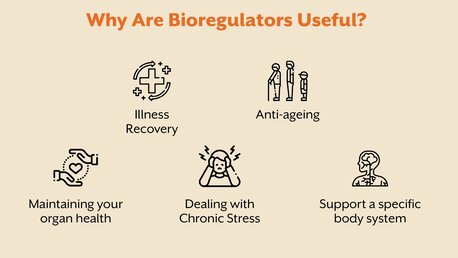 Pune, Guest Posting, Support Your Immune System Naturally With Organ-Specific Bioregulators