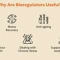 Support Your Immune System Naturally With Organ-Specific Bioregulators