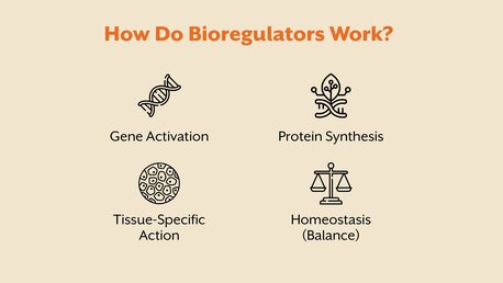 Pune, Guest Posting, Support Your Immune System Naturally With Organ-Specific Bioregulators