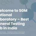 What Industries Gain From Professional Particle Size Analysis Services
