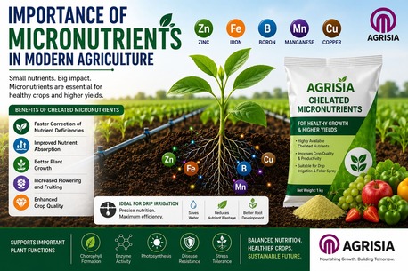 Pune, Farm & Garden, Advanced Micronutrient Fertilizer Products For Healthy Crops