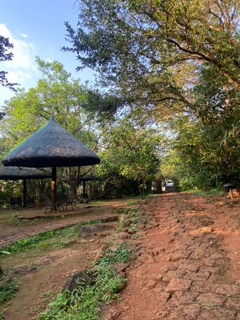 Goa, Travel, Goa Hotel And Stays - Best Deals