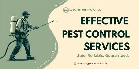 Laxmi Nagar, Pest Control, Pest Control Services In Laxmi Nagar