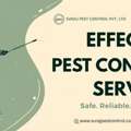 Pest Control Services In Laxmi Nagar