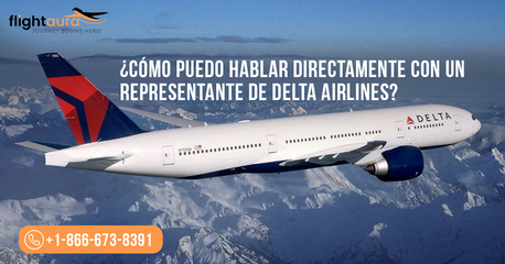 New York, Travel, ¿Cómo Hablar Directamente Con Delta? Guía Rápida +1-(866)-673-8391
