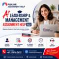 Diploma In Leadership & Management Assignment Help Australia | Get A+ Grades Fast