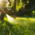 Expert Lawn Care Annandale VA Services