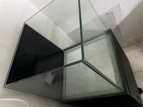 Riyadh, Pet Supplies, SAR 700,  Aquarium ( Planted Type Aquarium)