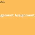 Elevate Your Grades With Professional Management Assignment Writing Help