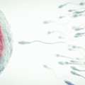 IUI Treatment Cost In Delhi - Dr Rhythm Gupta