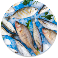Dubai, Food & Drink, Fresh Fish Home Delivery In Dubai | FishandGo