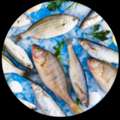 Fresh Fish Home Delivery In Dubai | FishandGo