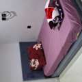 SAR 1000/month,  Furnished,  3 Rooms Available In Villa For Execetive Bachelors