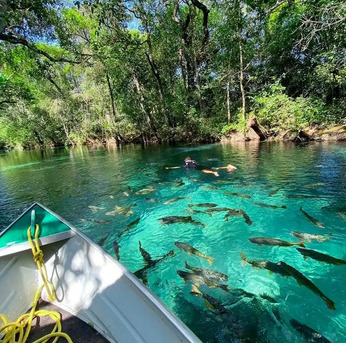 Rio de Janeiro, Travel, Passeios Às Cachoeiras Em Bonito