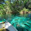 Passeios Às Cachoeiras Em Bonito