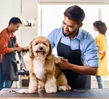 Riyadh, Jobs, Hiring A Professional Pet Groomer In Riyadh