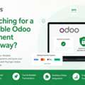 Searching For A Reliable Odoo Payment Gateway?
