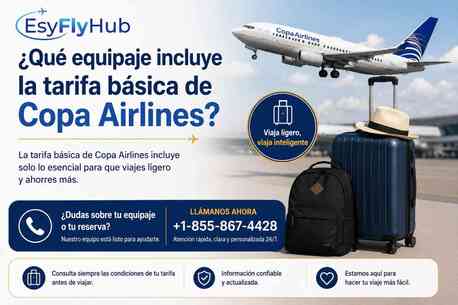 New York, Travel, ¿Qué Equipaje Incluye La Tarifa Básica De Copa Airlines?
