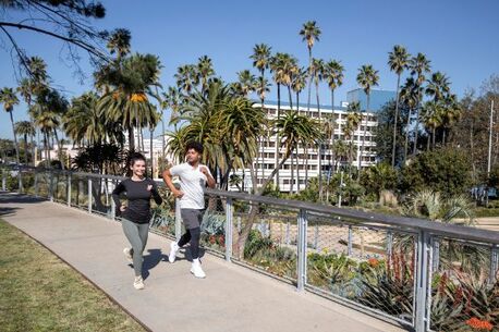 Los Angeles, Business, Planning A Day Out In Los Angeles? Start Here