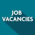 Looking For Freelance Internet Marketing Agent & Marketing Manager