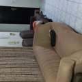 SAR 700/month,  Furnished,  Single Room For Rent