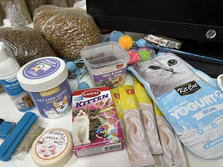 Riyadh, Pet Supplies, SAR 450,  Scottish Straight For Sale With Its Belongings