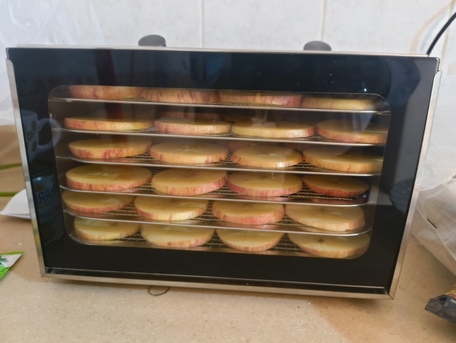 Khobar, Food, SAR 20,  Healthy Dehydrated Apples - Snack / Fruits - Available