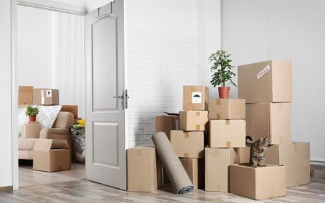 Riyadh, Labor/Moving, Pakistani Moving And Shifting