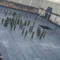 Epoxy Coating & Waterproofing Services