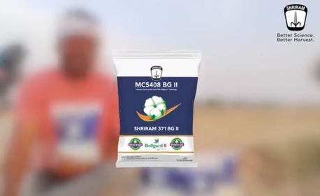 Mumbai, Farm/Garden, Shriram 371 BT Cotton Seeds For Successful Cotton Farming India