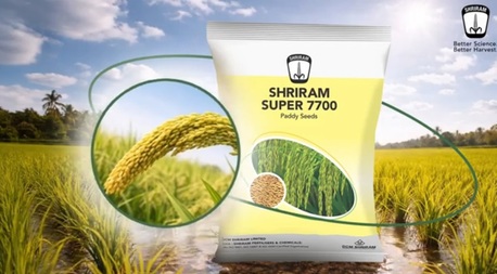 Mumbai, Farm/Garden, Shriram Super 7700 Paddy Seeds For Strong Growth And High Yield