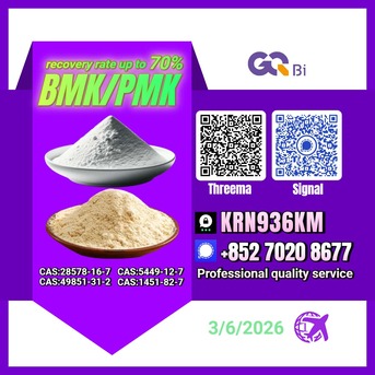 Tirana, Books, ALL 123,  BMK/PMK Extraction Rate Up To 70%- CAS:5449-12-7//CAS:28578-16-7