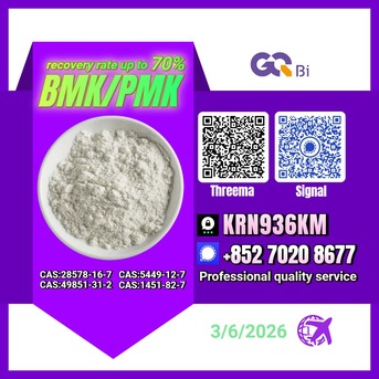 Algiers, Books, DZD 123,  BMK/PMK Extraction Rate Up To 70%-CAS:28578-16-7//CAS:5449-12-7