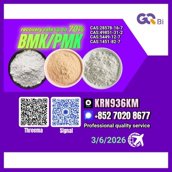 Yerevan, Books, AMD 123,  CAS:5449-12-7 BMK/PMK Extraction Rate Up To 70%-CAS:28578-16-7