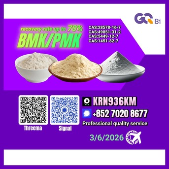 Brisbane, Books, AUD 123,  BMK/PMK Extraction Rate Up To 70%-CAS:1451-82-7//28578-16-7